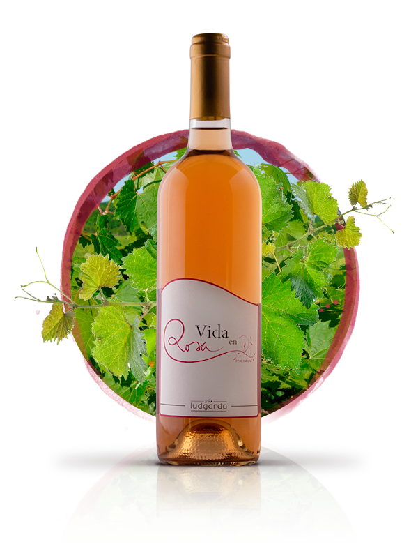 La Vida en Rose - - Ludgarda Viña Familiar