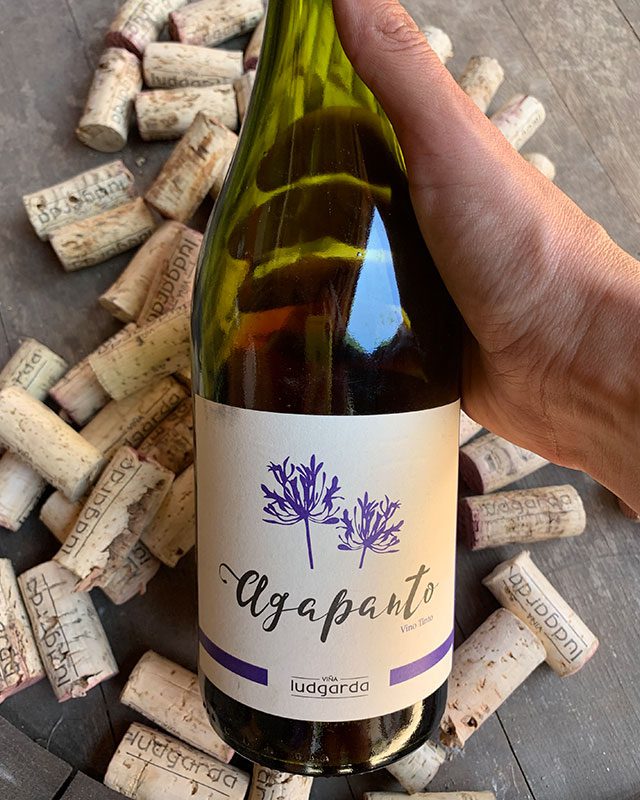 Agapanto Vino Tinto - Ludgarda Viña Familiar