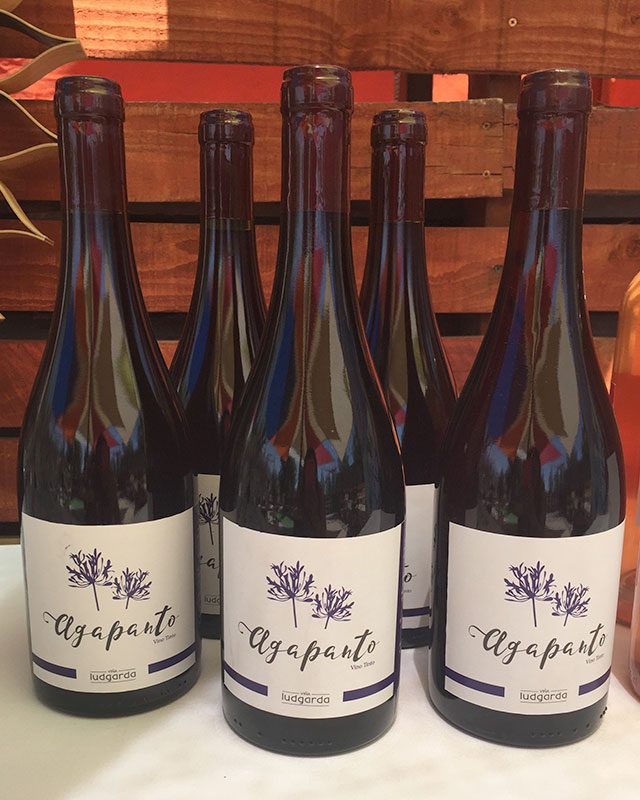 Agapanto Vino Tinto - Ludgarda Viña Familiar