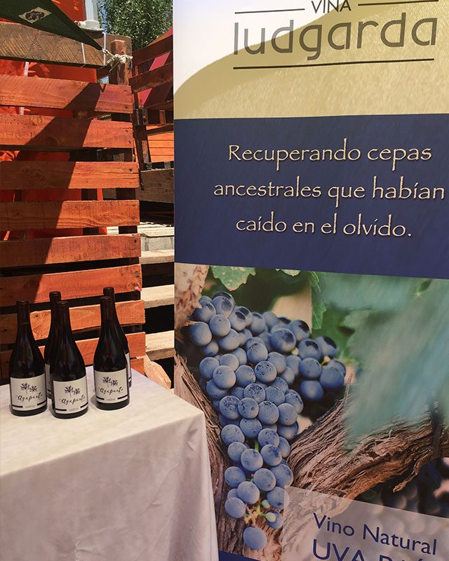 Agapanto Vino Tinto - Ludgarda Viña Familiar