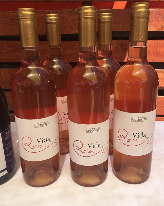 La Vida en Rosa - Ludgarda Viña Familiar