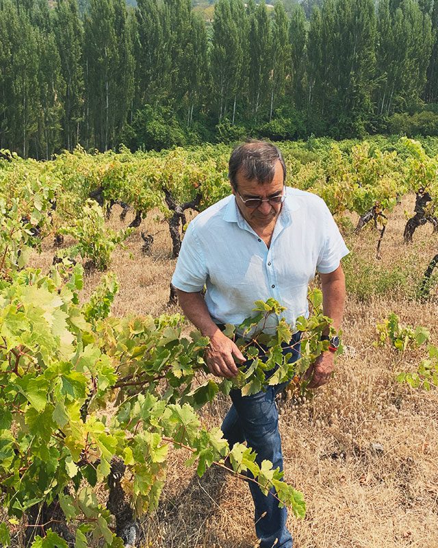 Ludgarda Viña Familiar