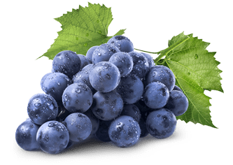 Ludgarda Viña Familiar